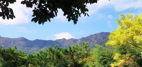 양산오봉산풍경