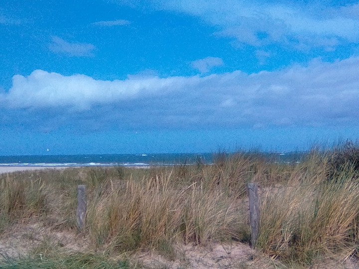 The Sea