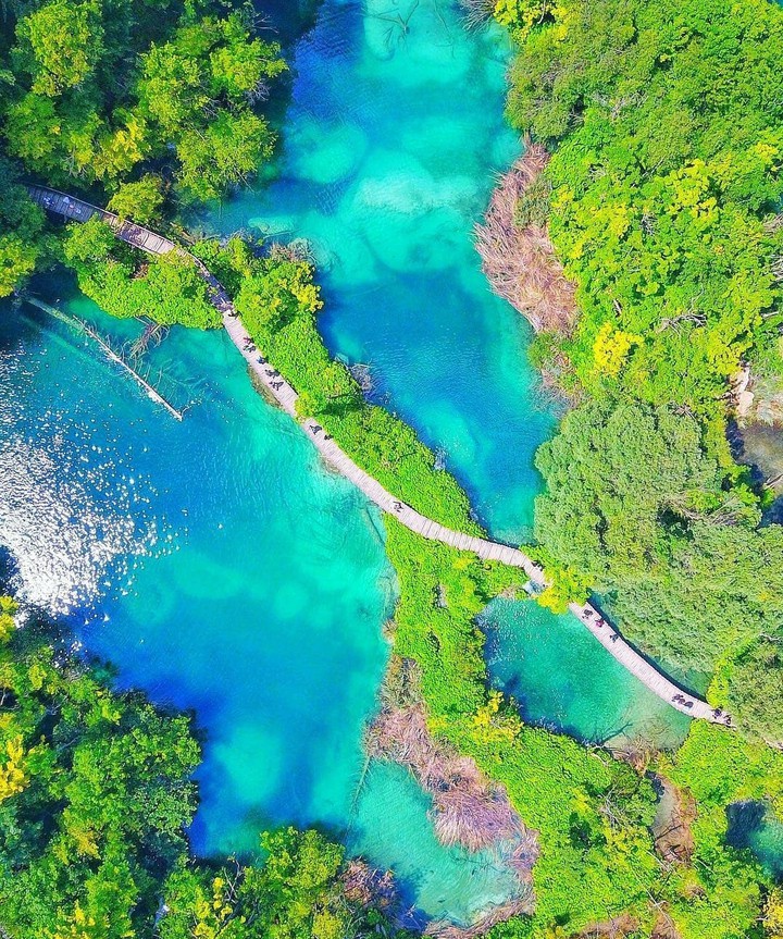 nature