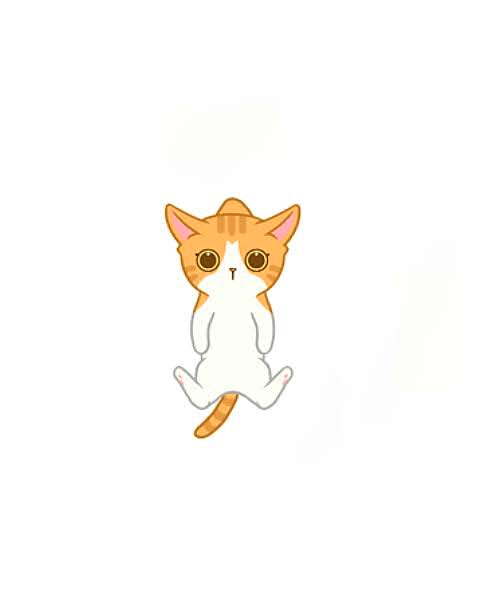 고양이