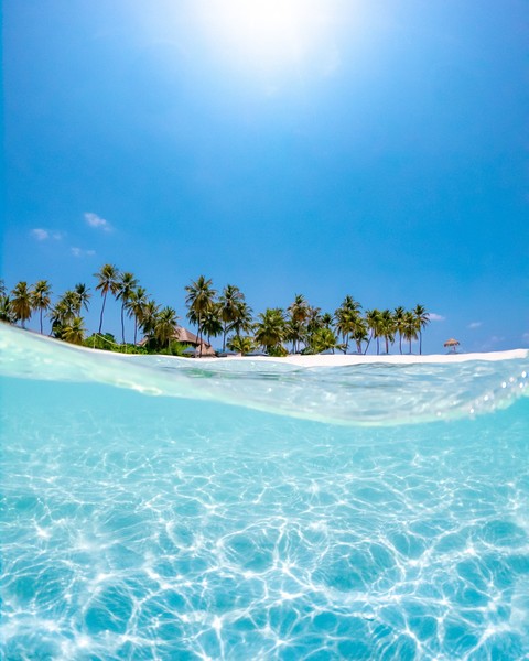 paradise