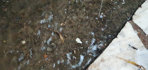 rainfall