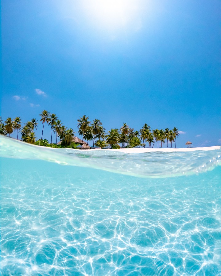 paradise