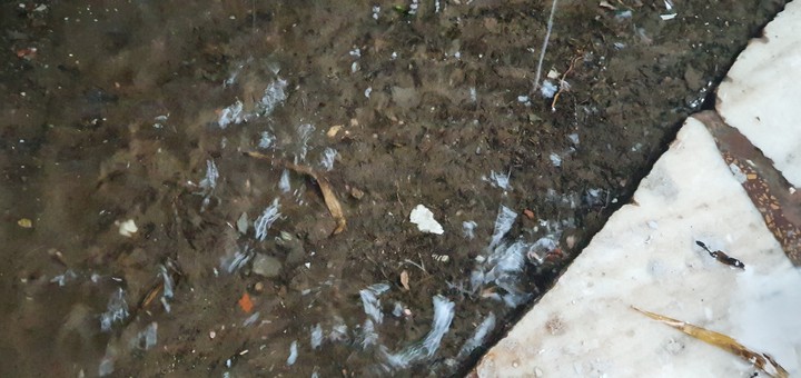 rainfall
