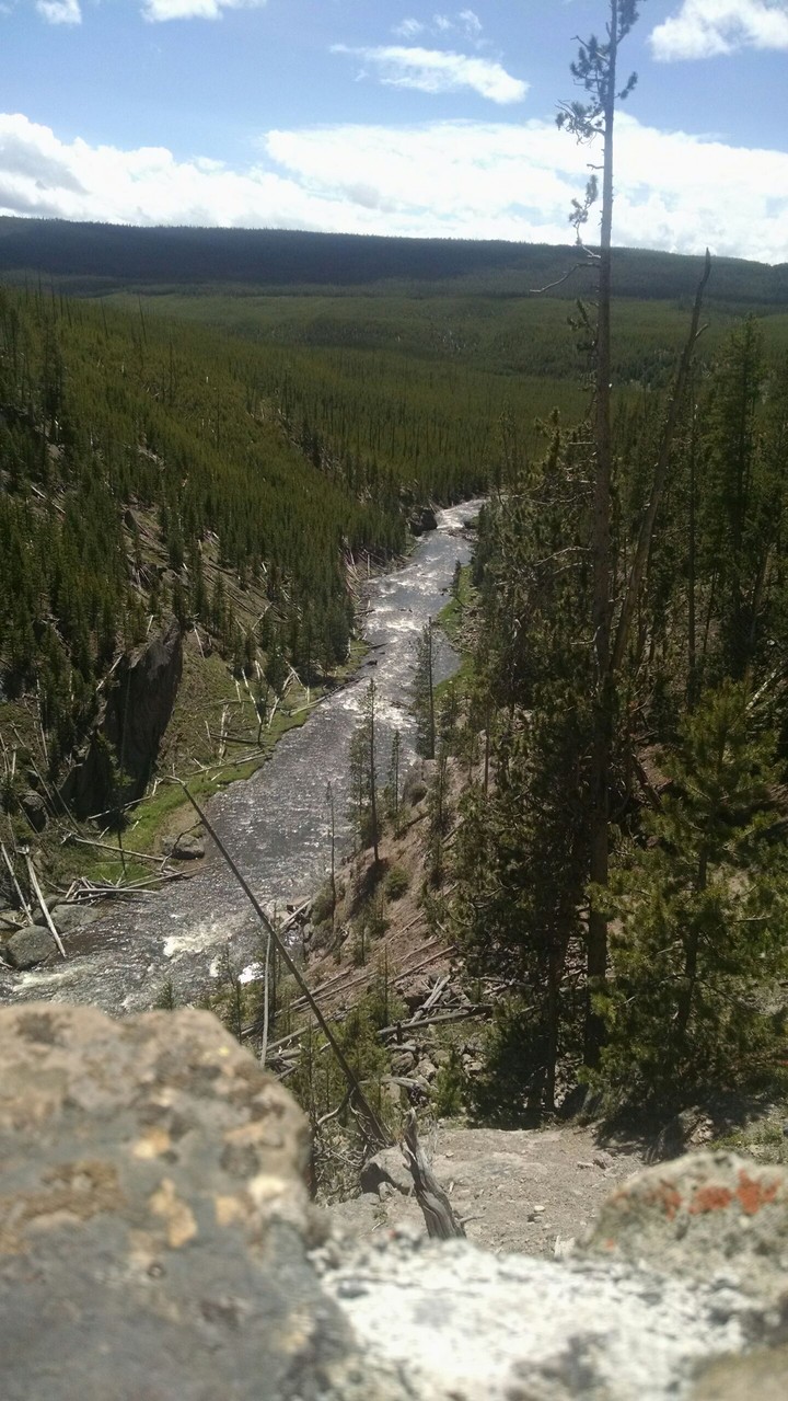 Gibbon River