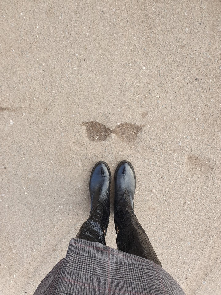 walk