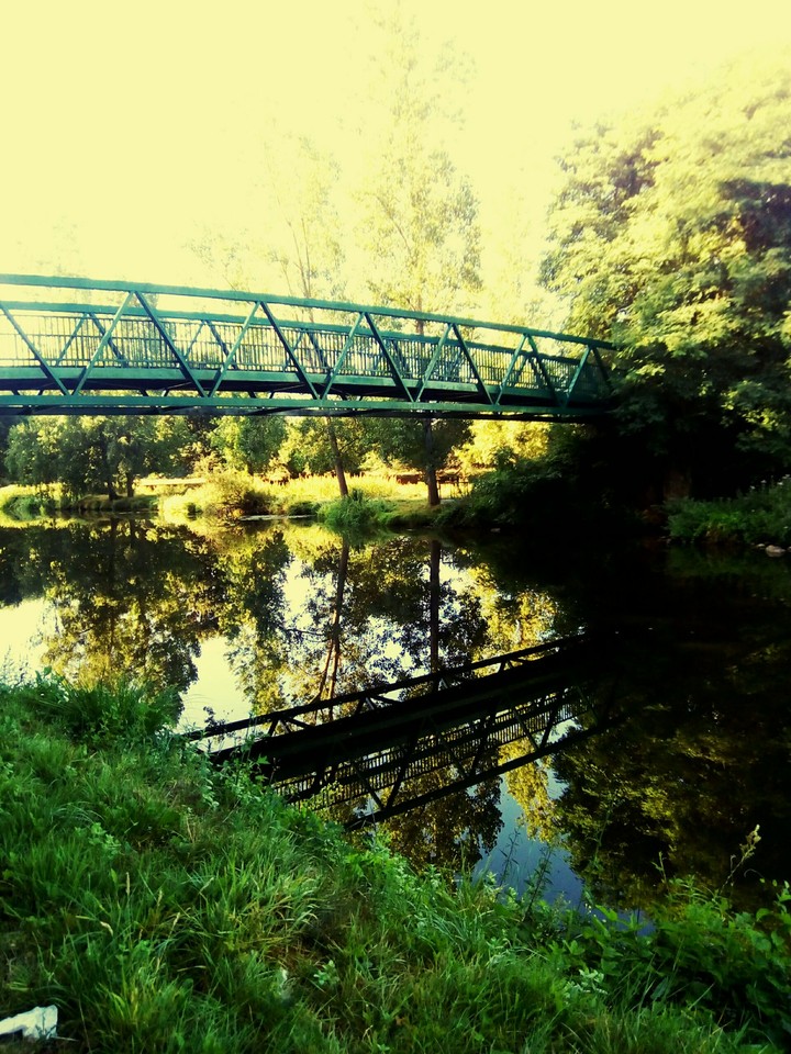 bridges