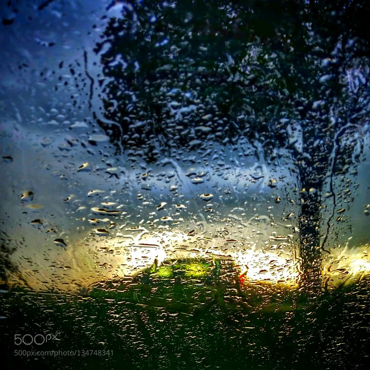 Another Rainy Day