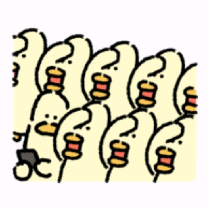 오리  Duck