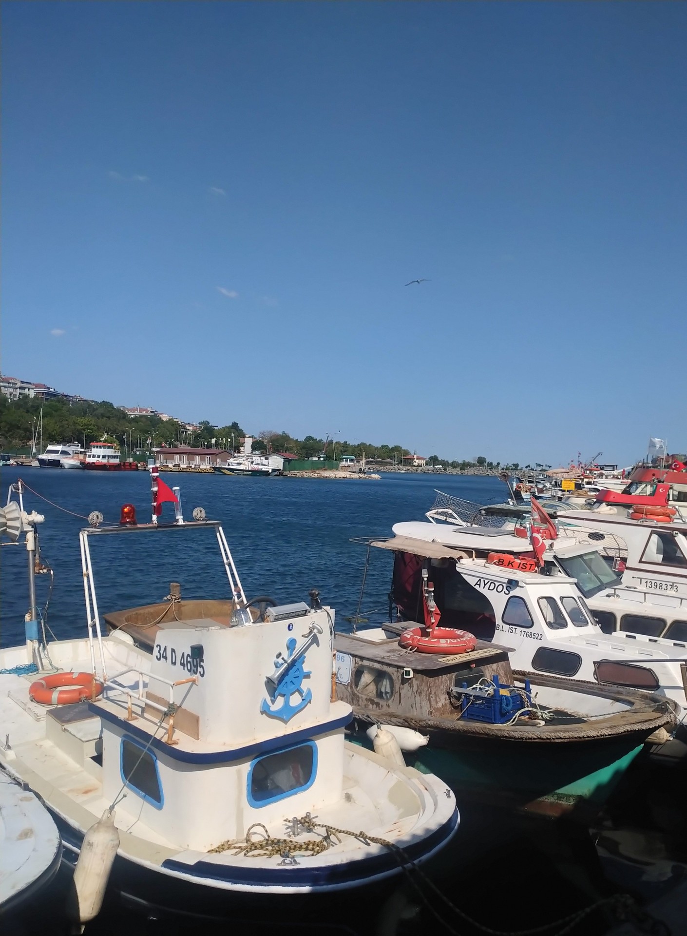 sfondi ship, Motorboat