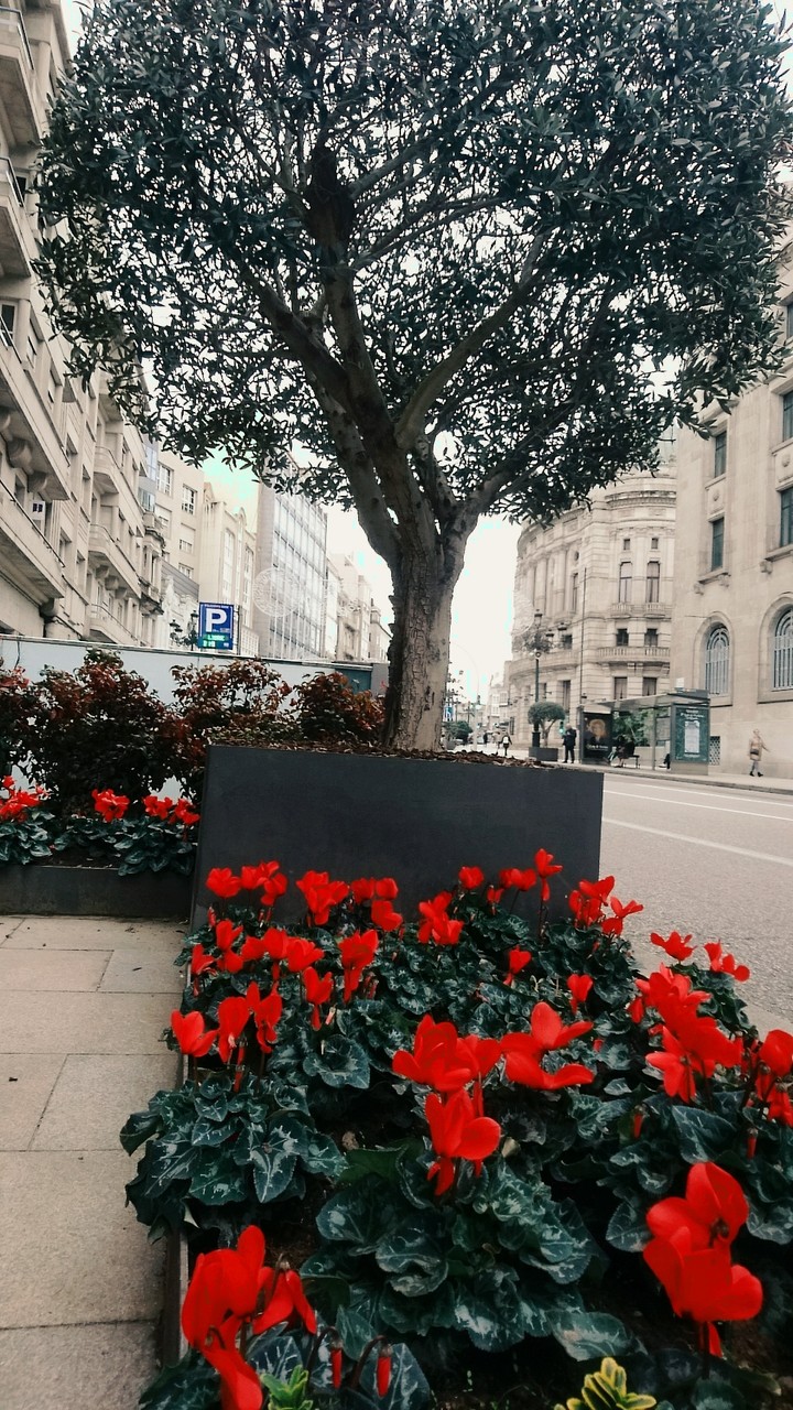 Vigo, Spain
