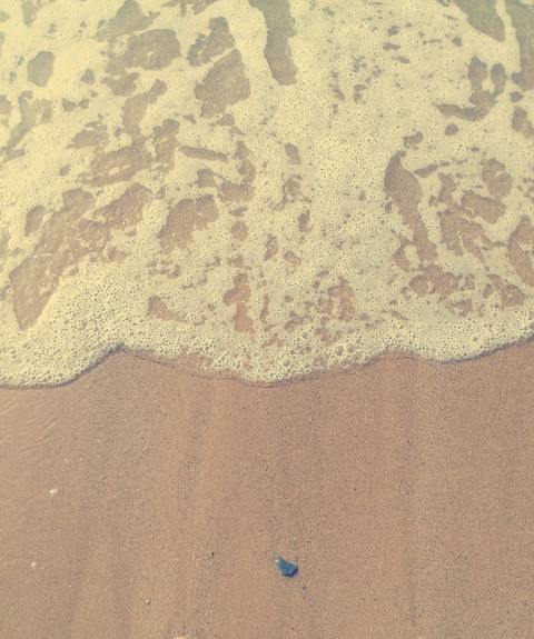 wave