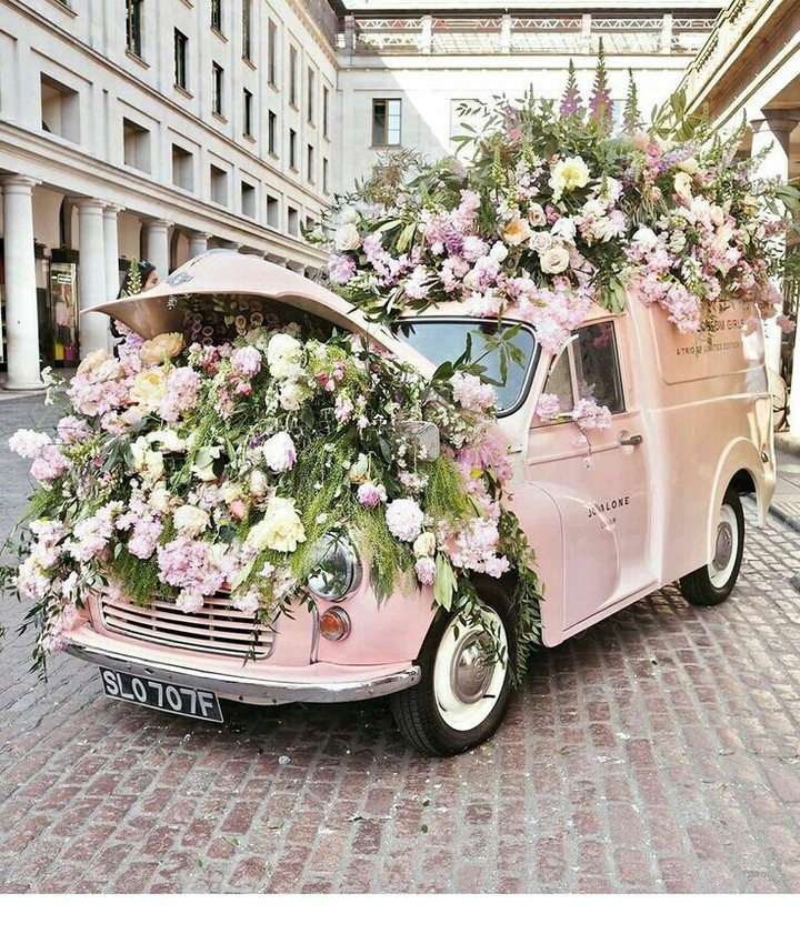 Flower in car.