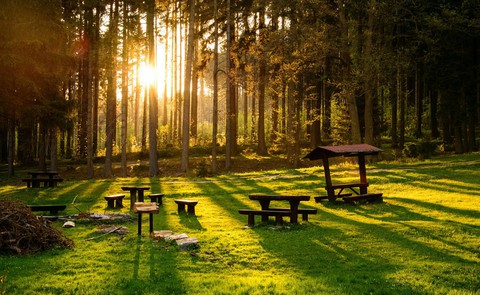 Bench, furniture壁纸