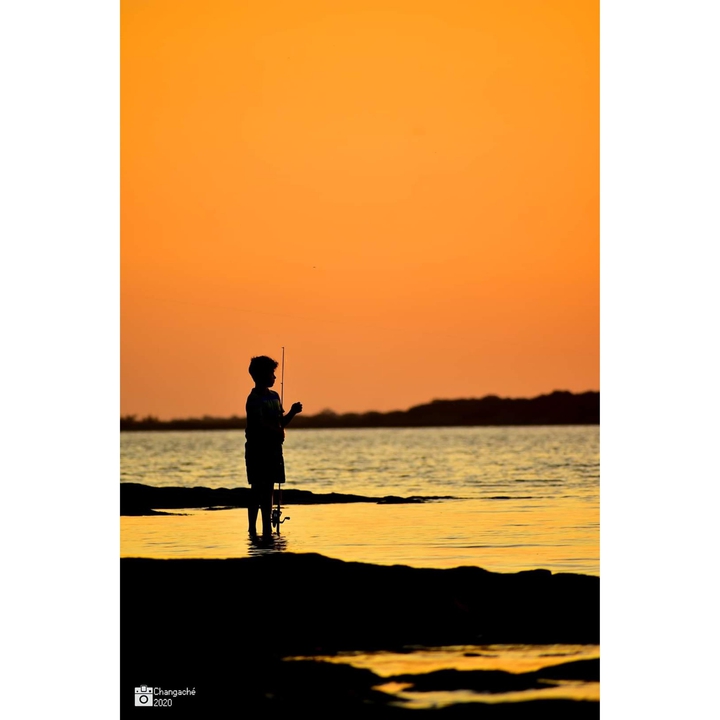 Gurisito pescador