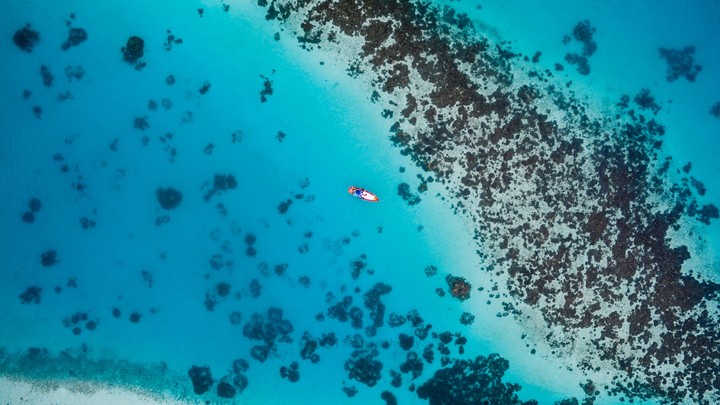 ocean