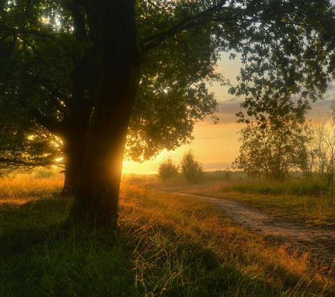 Beautifull