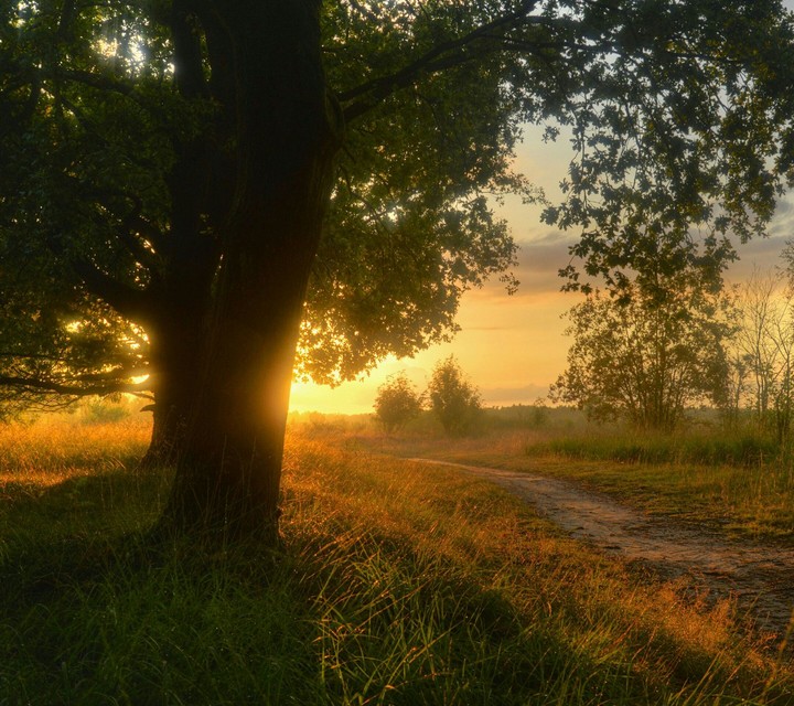 Beautifull