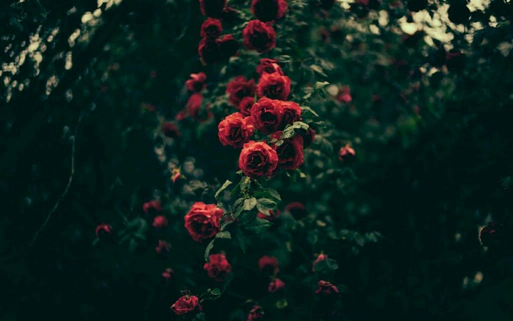 gdufbxjfrh GB n