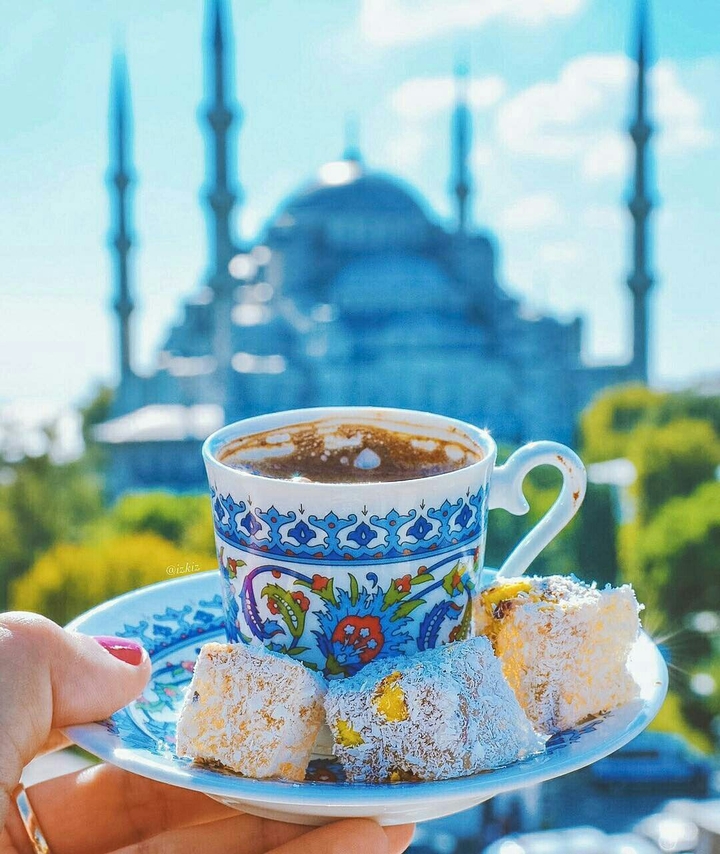 i love turkey.