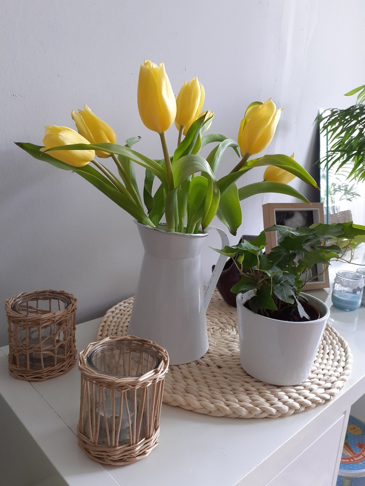 Tulipany