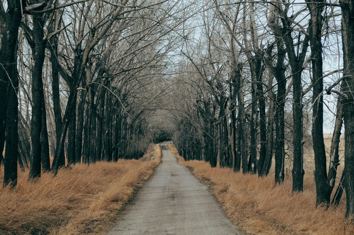 road