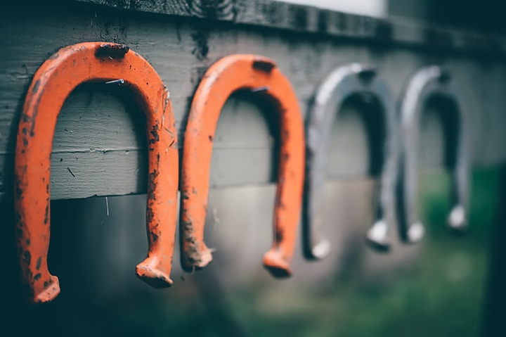 horseshoe