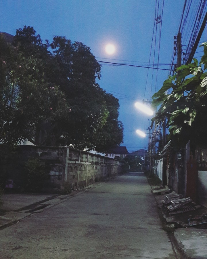 Alone