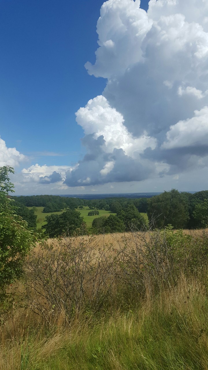 Lovely view