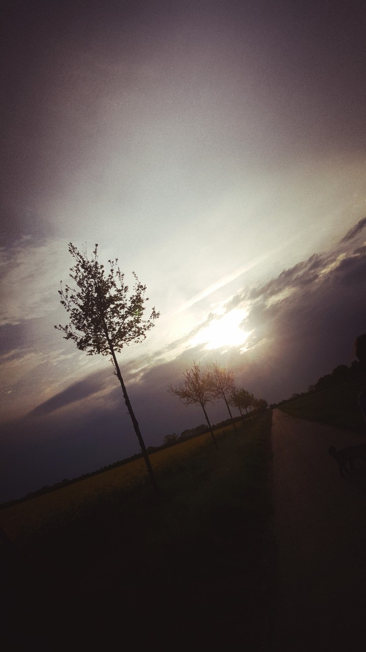 Sky