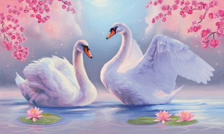 Swan