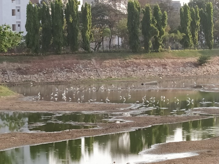lake?
