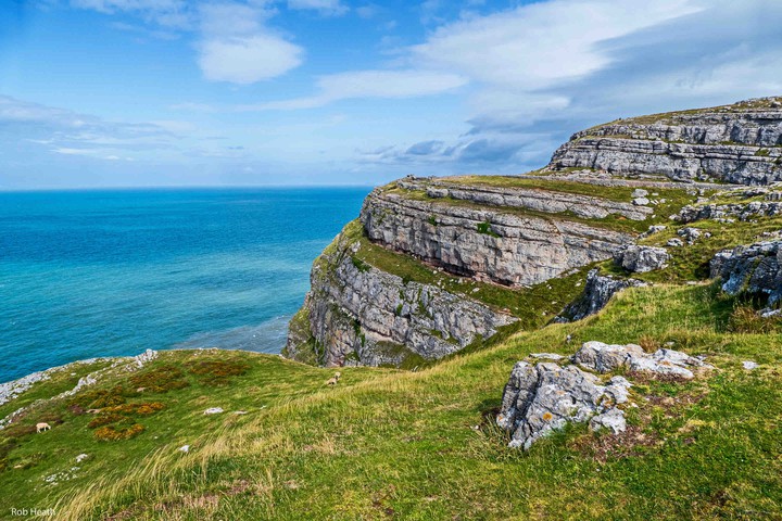 falaise