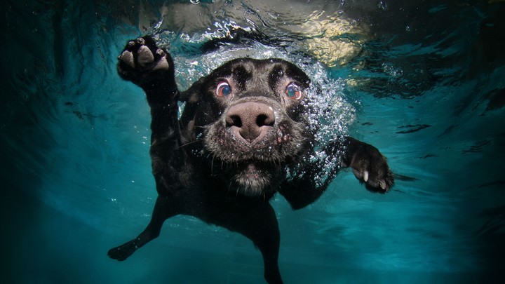 yes I can swim also
