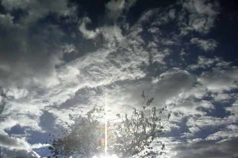 sunshine