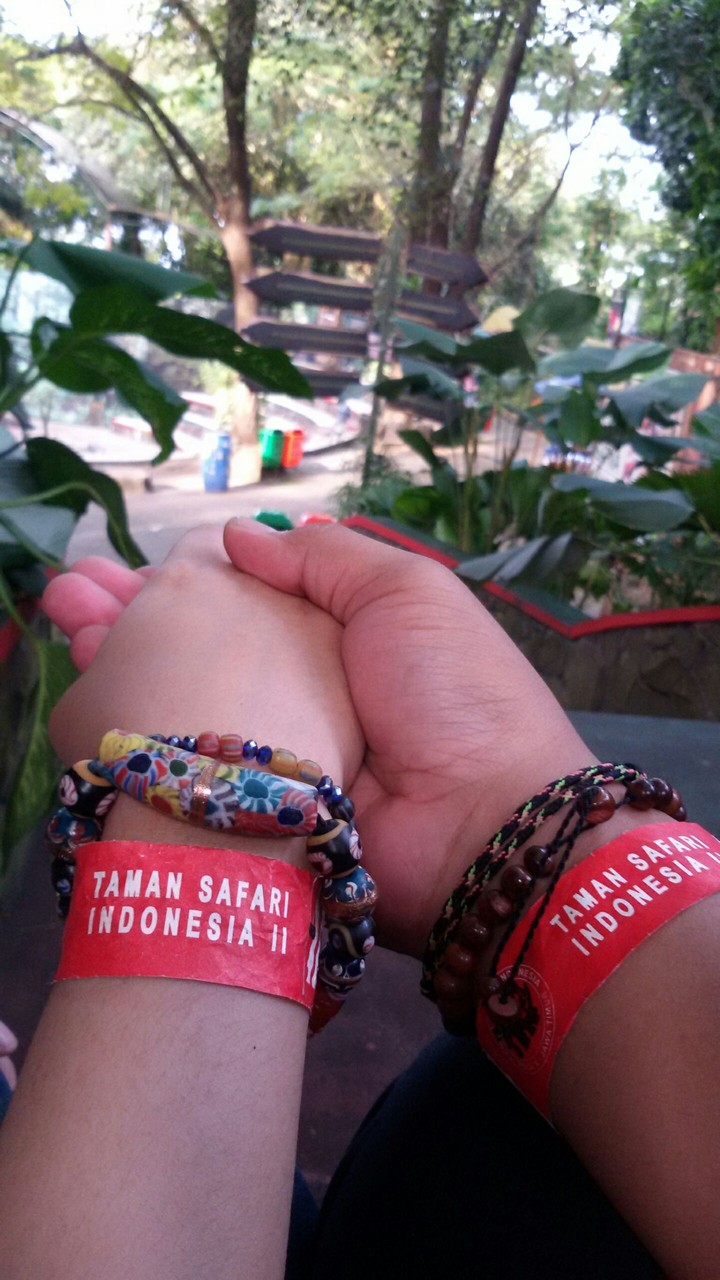 Taman Safari Indonesia