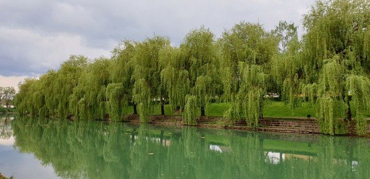 spring