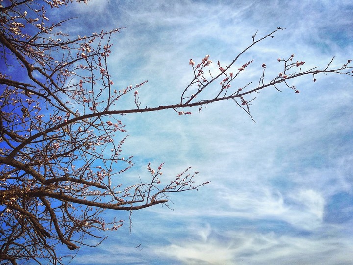 spring