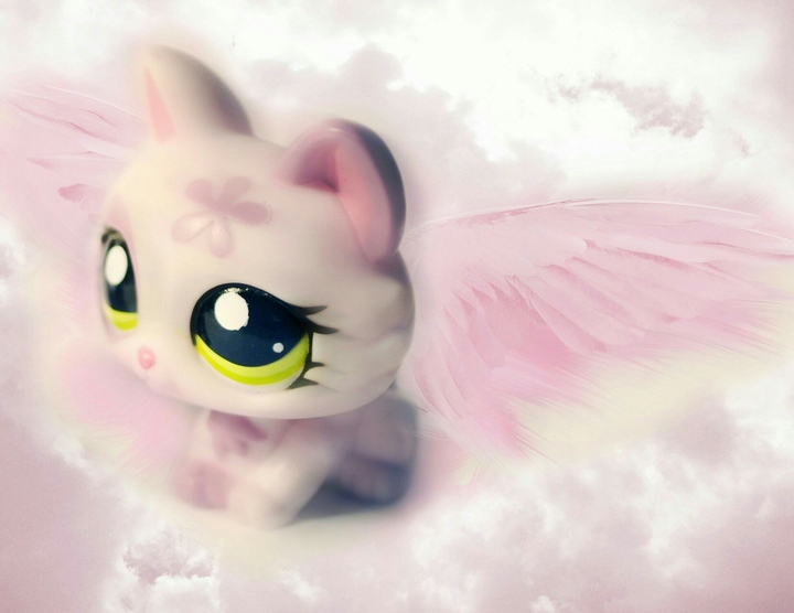 lps angel