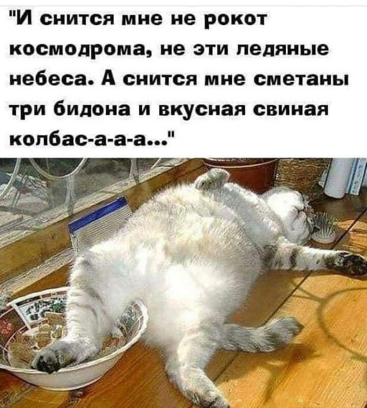 Переел