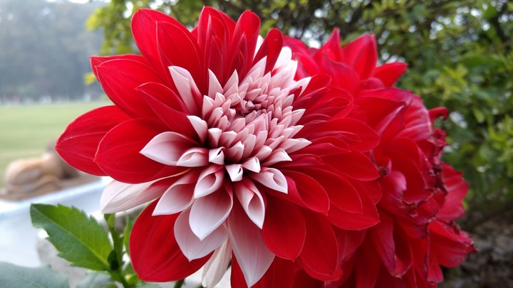 nature's beauty!
