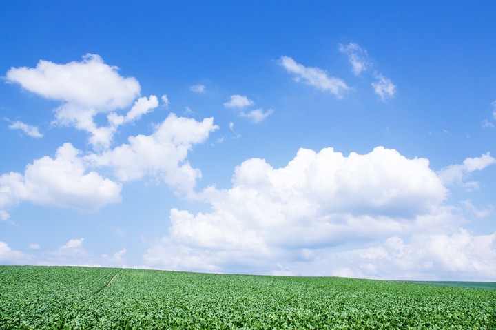 Field