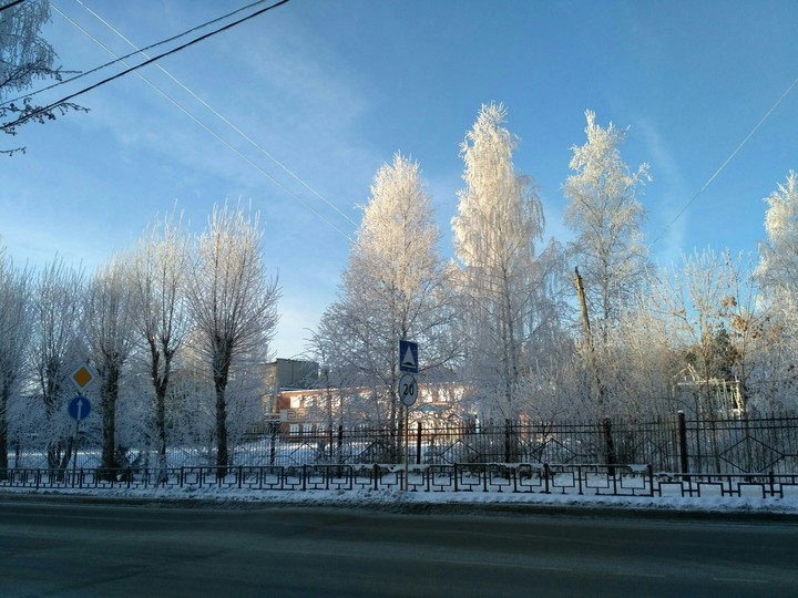 Winter Wunder