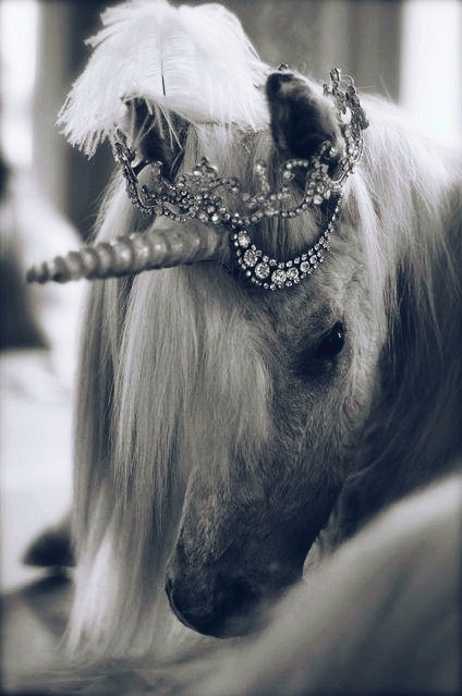 unicorn
