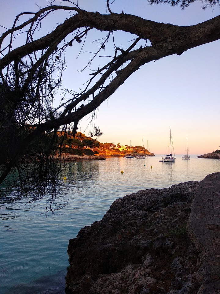 Cala D'OR
