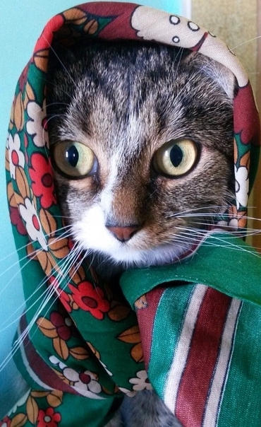 Всё, сфотографировали?