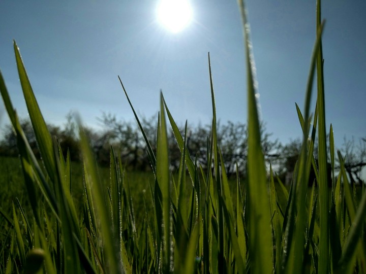 hot summer day