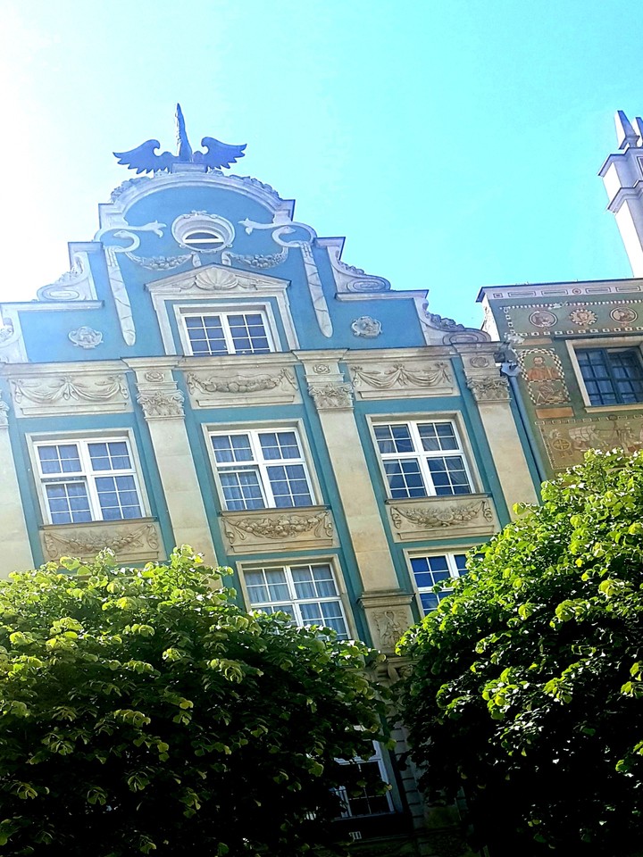 kamienice