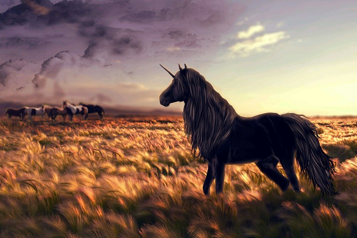 horse