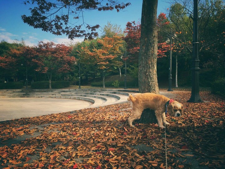 one autumn day